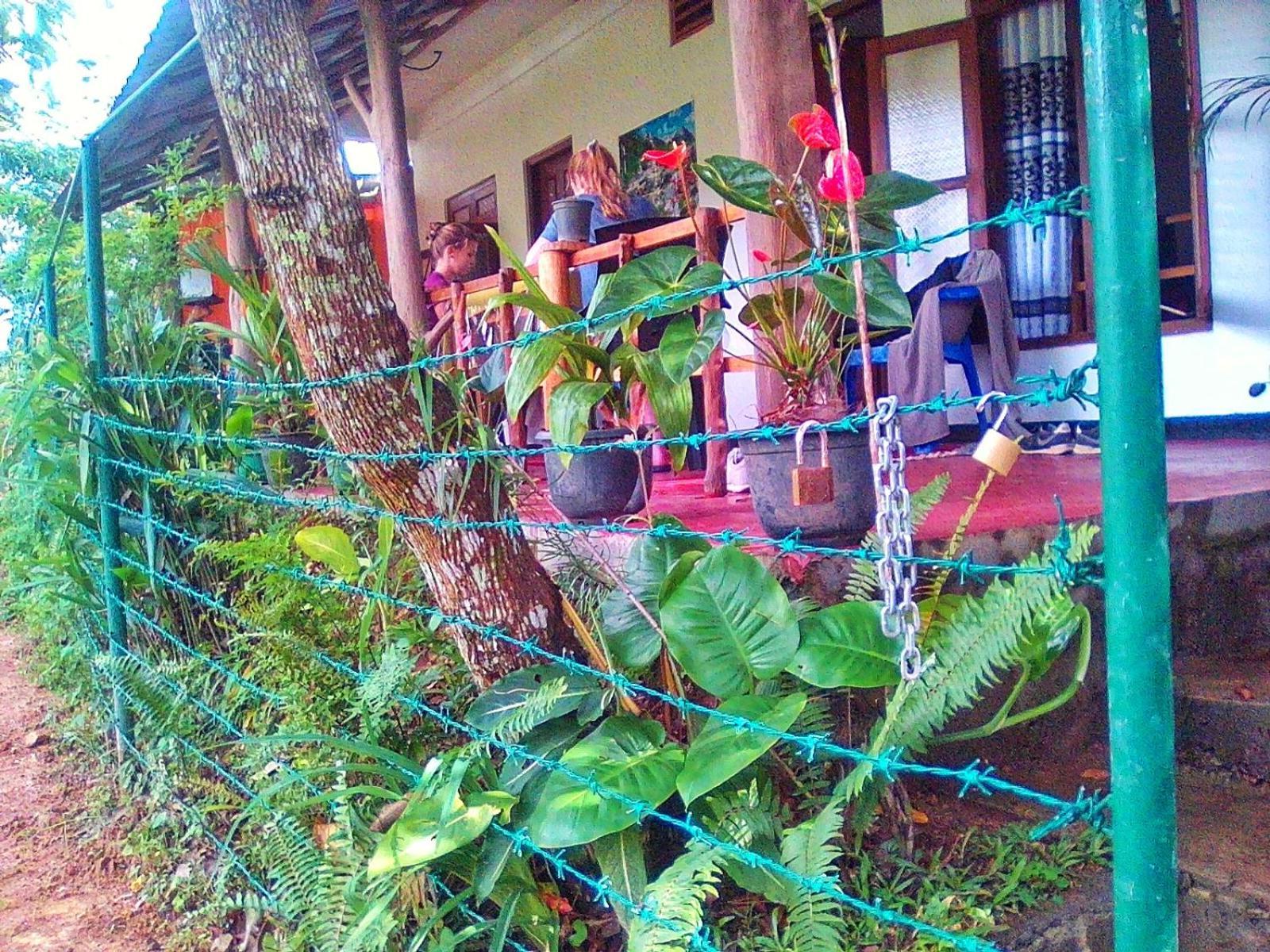 אלה New Rose Villa Bandarawela מראה חיצוני תמונה