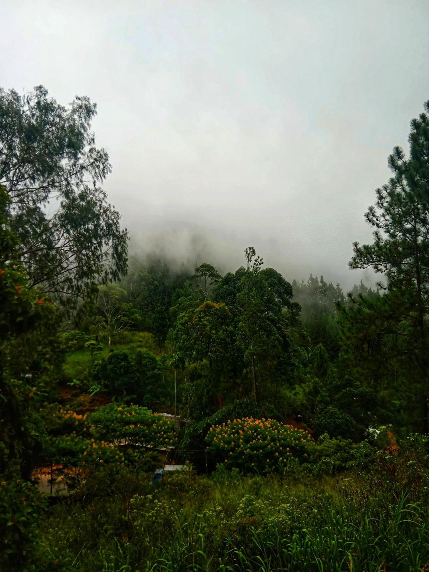 אלה New Rose Villa Bandarawela מראה חיצוני תמונה