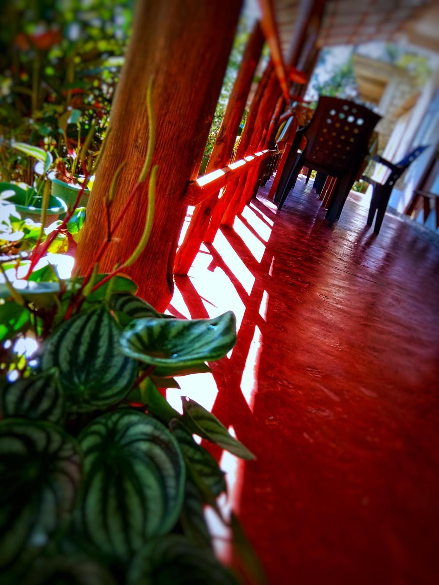 אלה New Rose Villa Bandarawela מראה חיצוני תמונה