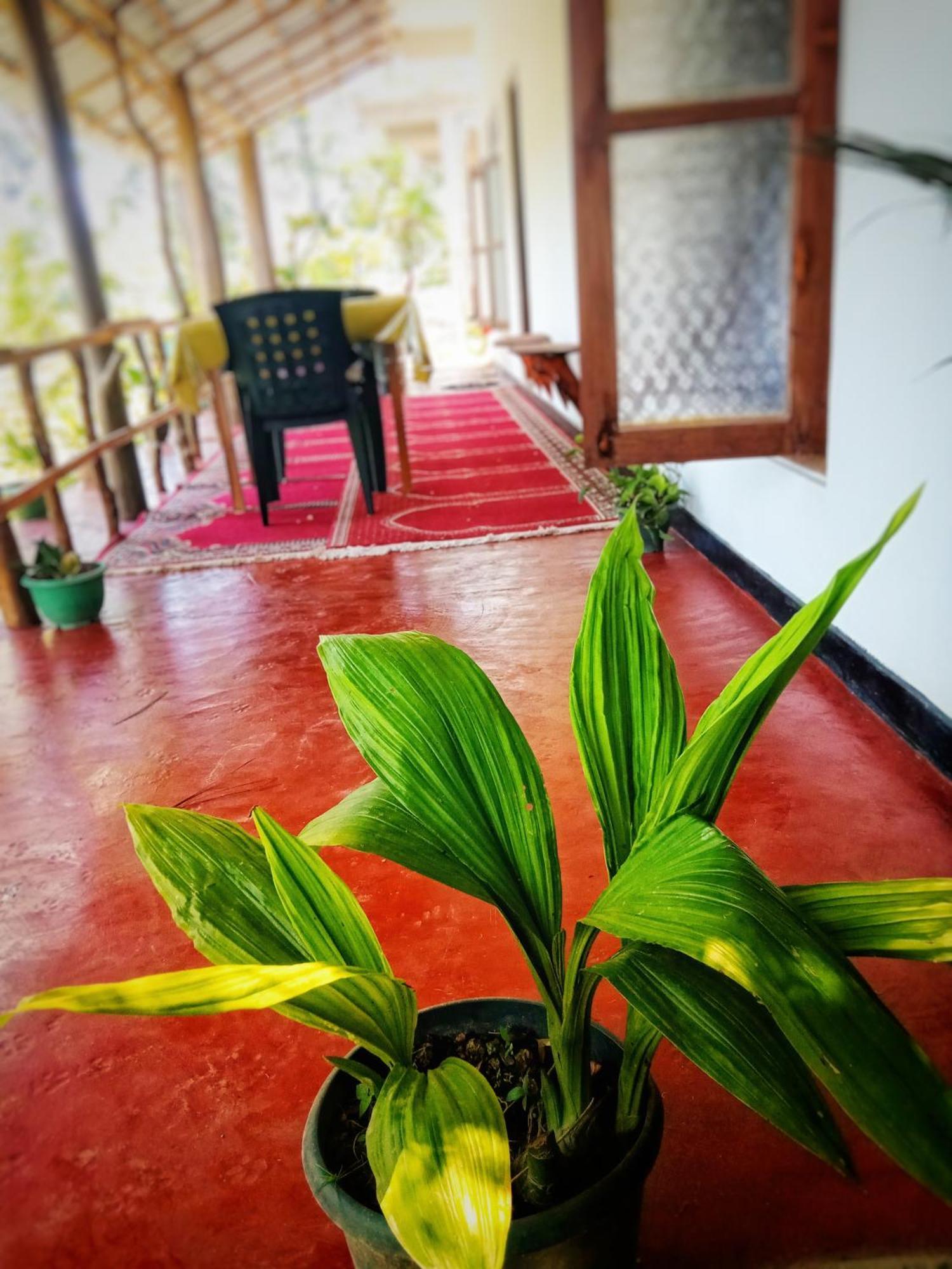 אלה New Rose Villa Bandarawela מראה חיצוני תמונה