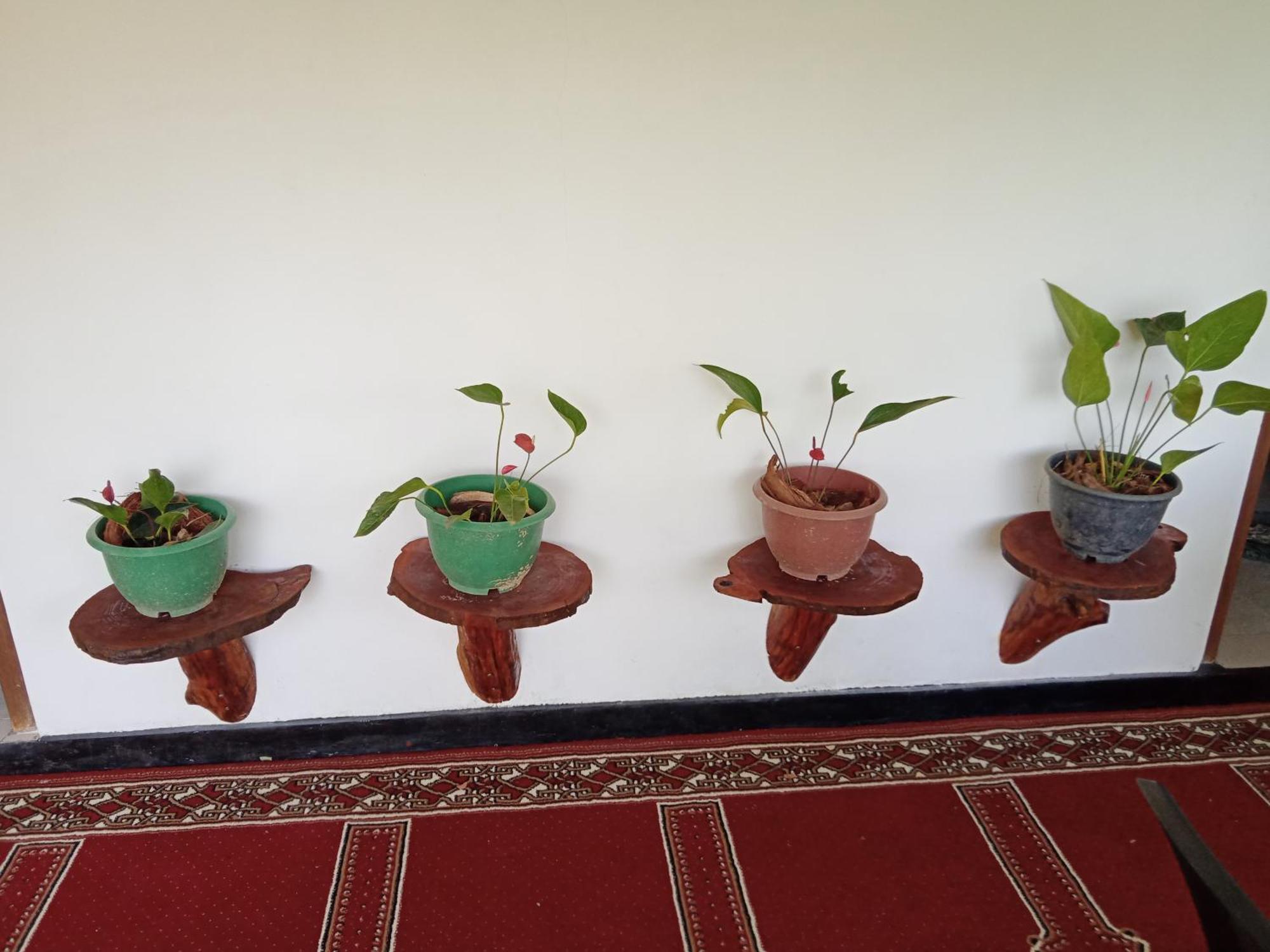 אלה New Rose Villa Bandarawela מראה חיצוני תמונה