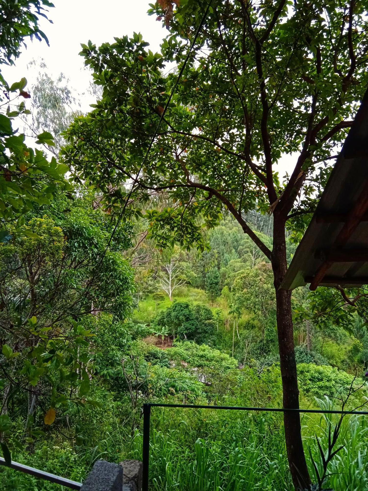 אלה New Rose Villa Bandarawela מראה חיצוני תמונה